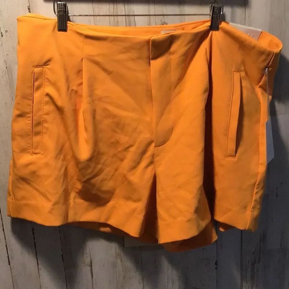 Shorts from A New Day size 17